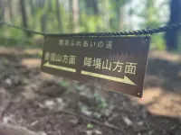 登山道でよく見る『関東ふれあいの道』って何？−知ると登山がもっと楽しくなる