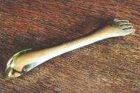 山ごはんに真鍮製のスポーク