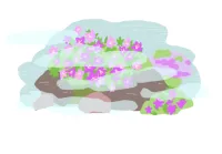 久住山 / 走馬灯