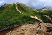 八ヶ岳・天狗岳 森と岩を巡る夏の山行—灯りが結ぶ一期一会の夜。