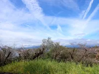 登山シーズン到来！4月の春山を楽しめる各地の山をご紹介