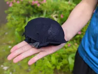 トレイルランニングにおすすめ！わずか79gの超軽量レインパンツ−Rabファントムパンツ