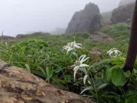 【日帰り登山】早池峰山のおすすめ登山コースの難易度