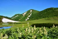 湿原と高山植物の絶景を楽しむ！火打山の初心者向け日帰り登山から中級者向け登山コース紹介