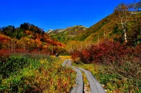 東海・北陸エリアのおすすめ紅葉登山12選！絶景紅葉スポットと登山コースを徹底解説