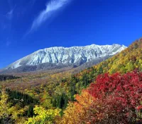 関東エリアのおすすめ紅葉登山13選！紅葉時期・スポットと登山コースを徹底解説