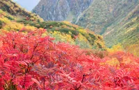 <2021年>紅葉・黄葉見頃予想！紅葉登山を楽しもう！