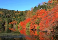 八ヶ岳の紅葉登山-おすすめの山と登山コース難易度・絶景スポット