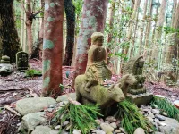 熊野古道の人気のルート「滝尻～近露」を歩く｜前編