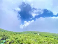 日本百名山の白山登山：南竜ヶ馬場でテント泊＆高山植物を楽しむ