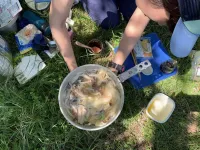 春 5月　沼津アルプス 酸辣湯