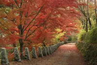 [山、木、樽、酒、米、川]6つのテーマで奈良の山の魅力を伝える