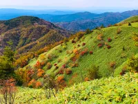 【大川入山 】 羊の放牧が見える難易度別コース3選♨阿智セブンサミット