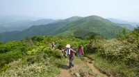 大江山 一斉登山（第34回）を開催します