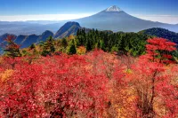 【日帰り登山】節刀ヶ岳ー初心者から楽しめるルートも！難易度別ルート紹介