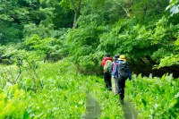 2024年最新！夏の登山に最適なミドルレイヤー6選