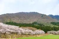【薬莱山（やくらいさん）】登山初心者や親子登山におすすめの山！大崎平野を一望する絶景