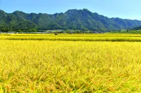 【日帰り登山】信州の鎌倉で歴史を感じる独鈷山！初心者におすすめの難易度別ルート紹介