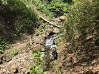 山で遭難したら登れ！理由とあわせて道迷い時の対処法をご紹介