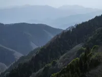 【日帰り登山】 奥多摩山域にある花の百名山！生藤山の難易度別ルート紹介