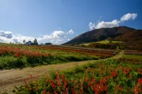 【東北登山】初心者にもおすすめ！東北地方の魅力あふれる山7座！