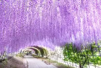 この秋オススメ！紅葉を楽しめる山旅4選