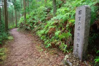 テーマで歩く山の旅 #09 【後編】熊野古道・中辺路×思考と身心をととのえる