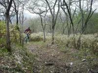 日光･霧降高原MTBトレイルツアー