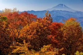 11月におすすめの紅葉登山23選!絶景おすすめコース紹介【紅葉ラストスパートを見逃すな】