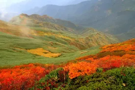 仙ノ倉山