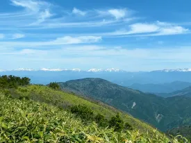 川上岳