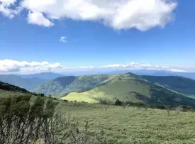 矢筈山