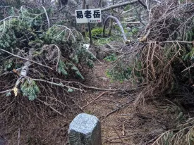 易老岳