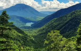 根名草山