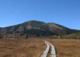 至仏山