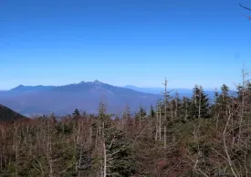 辻山