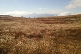 霧ヶ峰