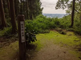 仙元山