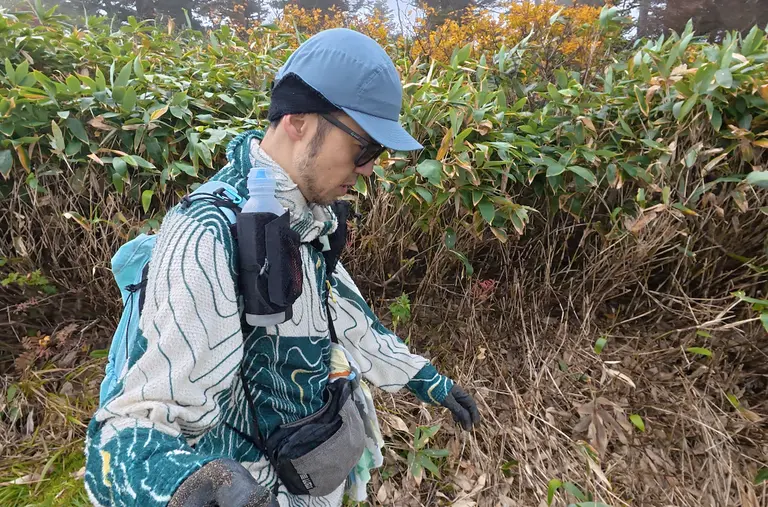 紅葉が始まった笹やぶの登山道を、フリーライト アルファ フードを着たまま歩く様子