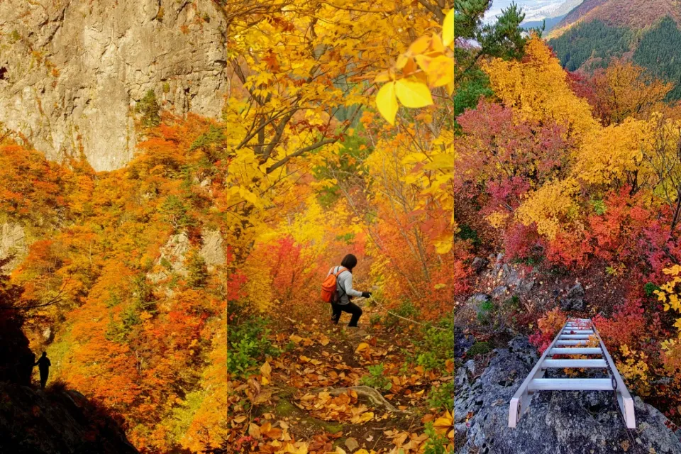 【裏巻機渓谷×古峰山】10/30〜11/10 紅葉見頃予測と黄金リレープラン。